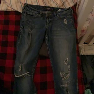 Blue hollister jeans
